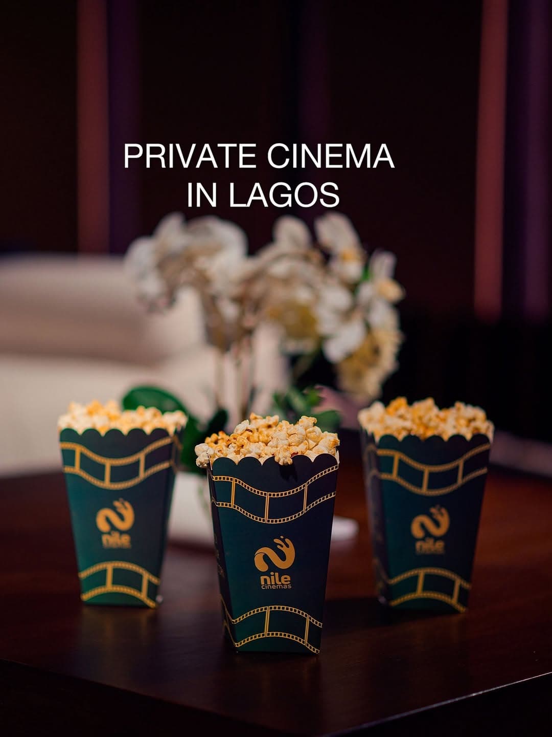 Experience in Nile Luxury Cinemas